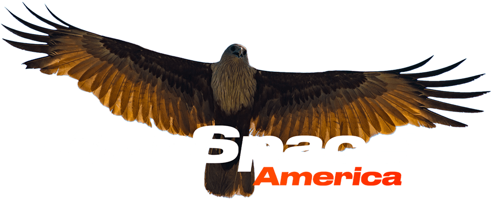 Your Space America - Logo
